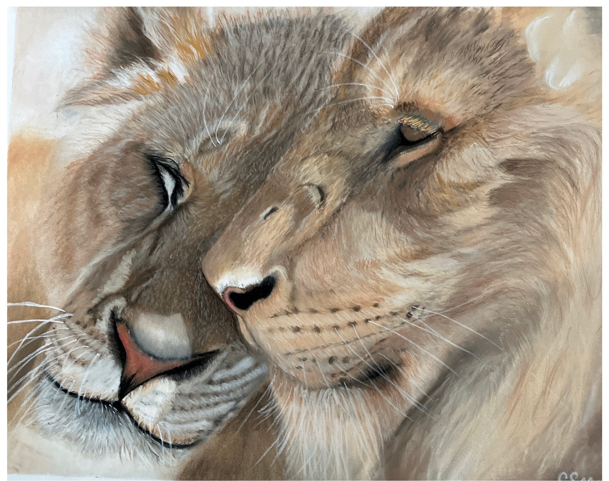 Detailed animal pencil drawing on textured paper